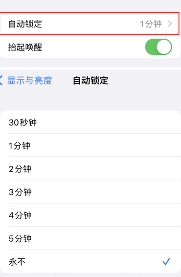 三门苹果换屏维修分享无法调整iPhone自动锁屏的时间怎么办